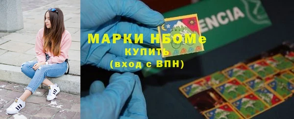 стафф Иннополис