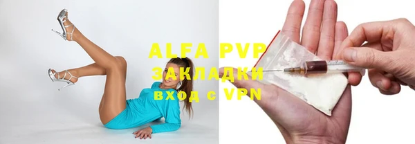 стафф Иннополис