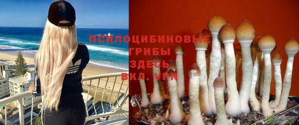 синтетический гашиш Инта