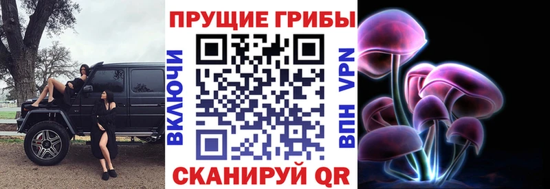 Купить закладки  Городец  Галлюциногенные грибы GOLDEN TEACHER 